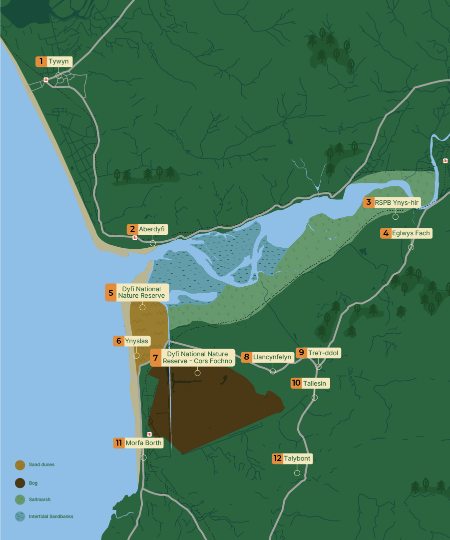 Map of the Dyfi estuary showing habitat types and key locations including Ynyslas, Aberdyfi and RSPB Ynys-hir.