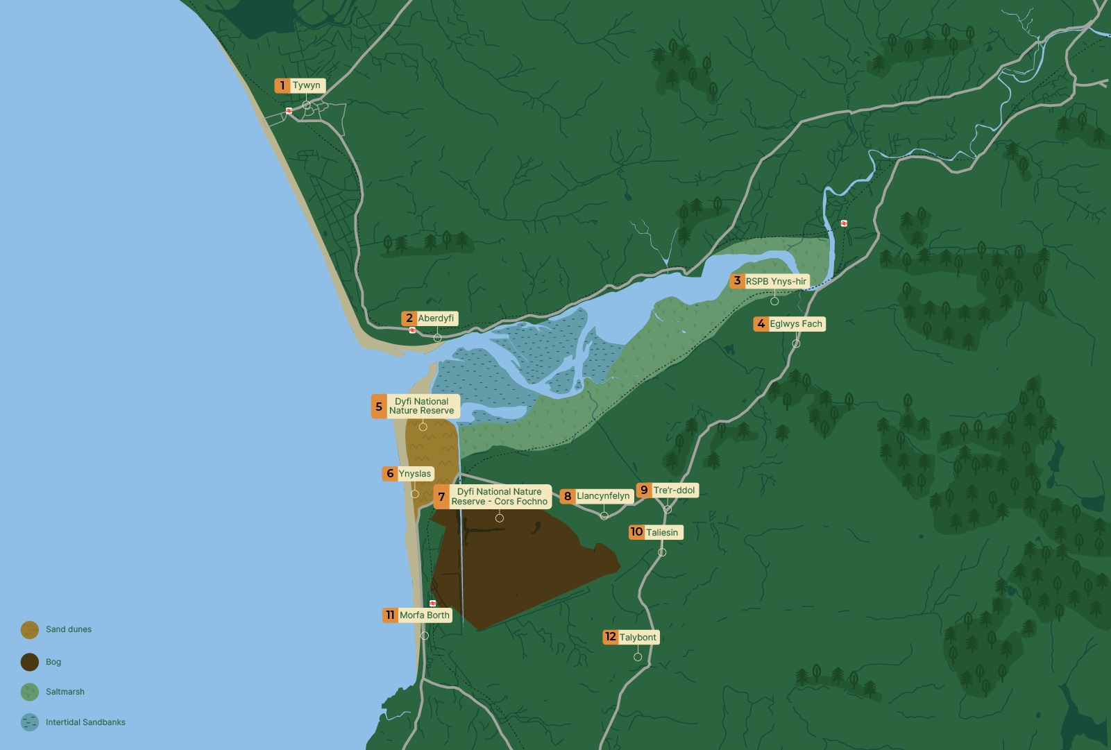 Map of the Dyfi estuary showing habitat types and key locations including Ynyslas, Aberdyfi and RSPB Ynys-hir.