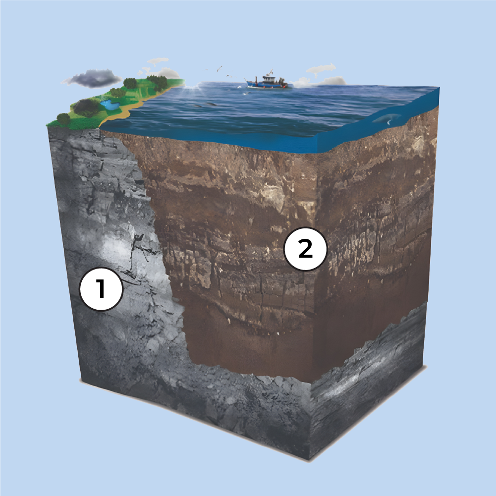 Numbered 3D cross-section showing seabed sediments overlying bedrock beneath coastal waters.