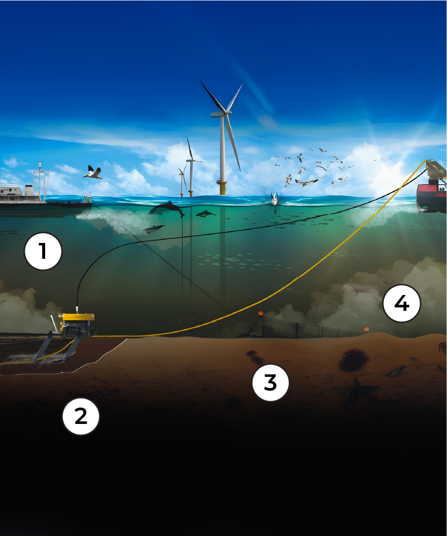 Numbered illustration showing offshore activities disturbing seabed sediments and putting marine wildlife and blue carbon stores at risk.